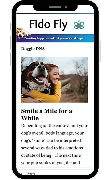 Fido Fly sends weekly happiness and useful ideas